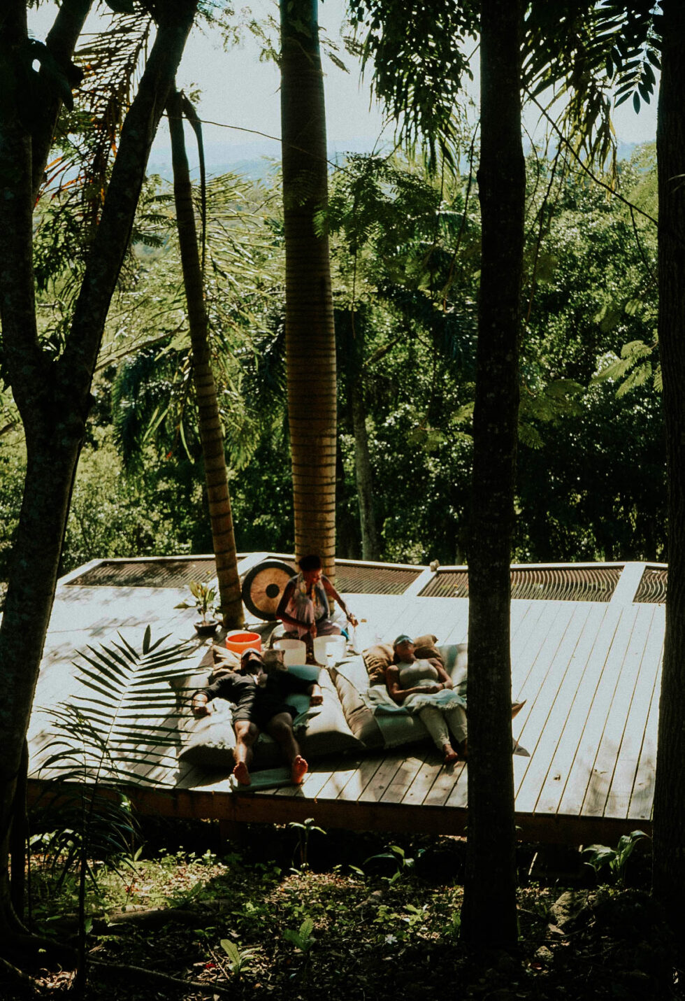 Wellness in the DR